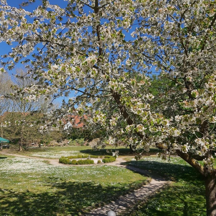 Alleehotel Europa Bensheim Exteriör bild