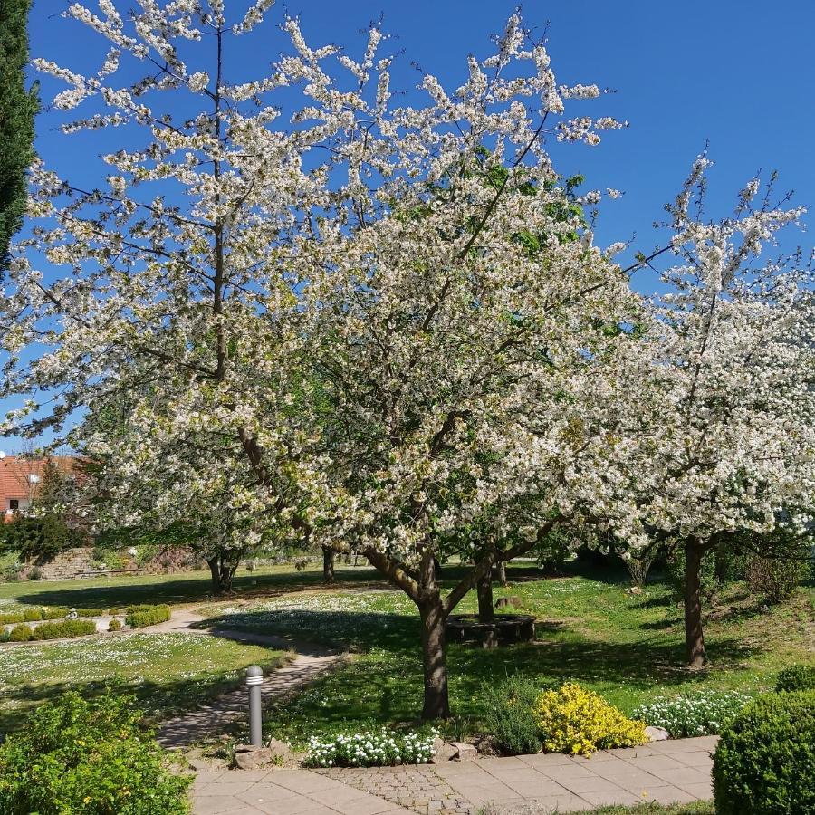 Alleehotel Europa Bensheim Exteriör bild