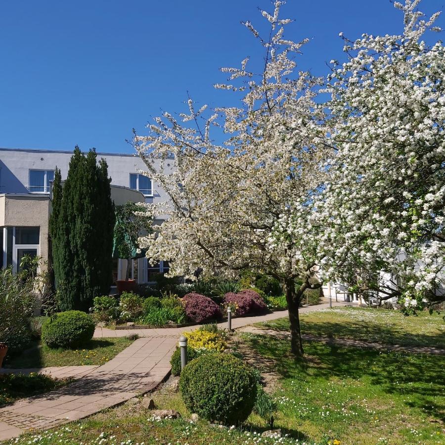 Alleehotel Europa Bensheim Exteriör bild
